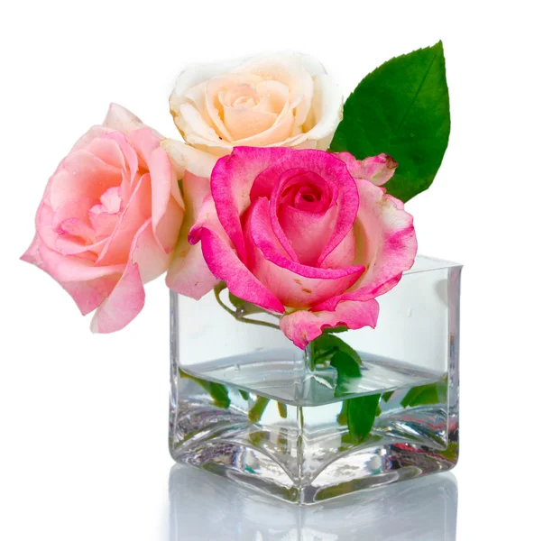 Drei Rosen in transparenter Vase isoliert auf weiß — Stockfoto