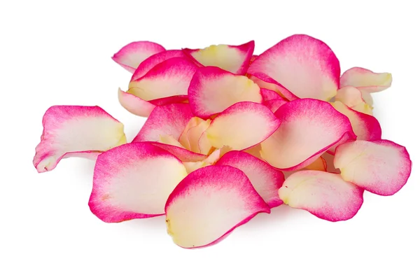 Ροζ ροδοπέταλα που απομονώνονται σε λευκό — Φωτογραφία Αρχείου