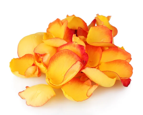 Yellow rose petals isolated on white — Stock Photo, Image