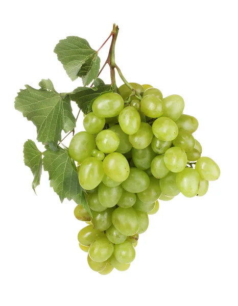 成熟的绿色葡萄 — 图库照片