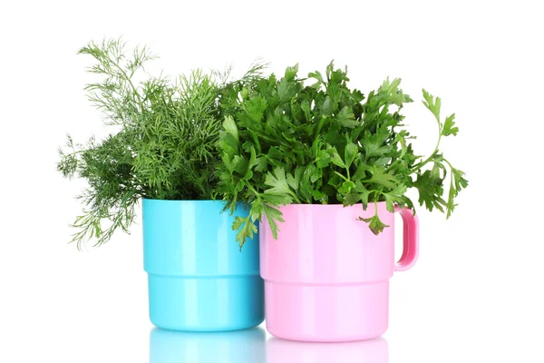 Fresh parsley and dill in cups — Stock Photo, Image