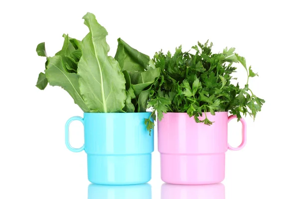 Fresh parsley and sorrel in cups — Stock Photo, Image