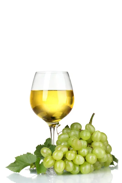 Grape & vin — Stockfoto