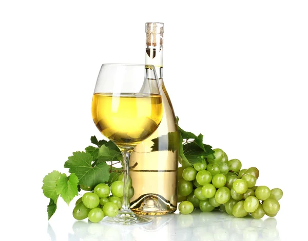 Grape & wine — Stock Photo, Image