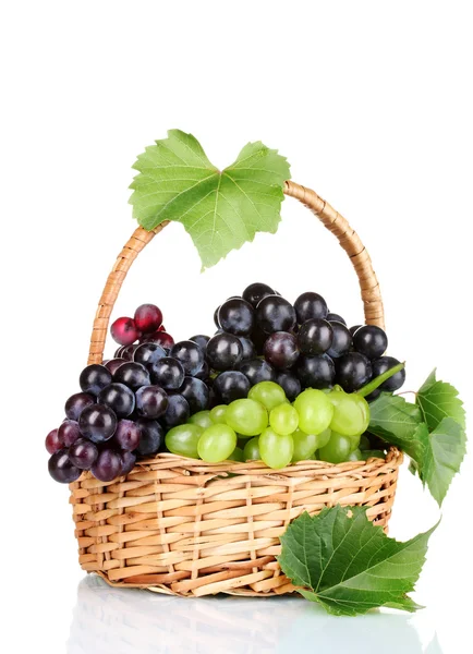 Üzüm ve şarap — Stok fotoğraf