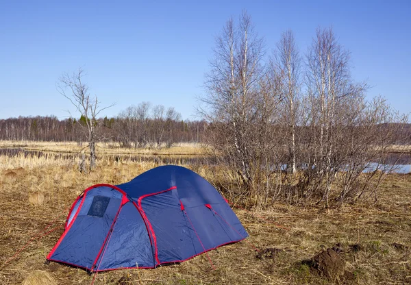 stock image Blue tent and bare trees