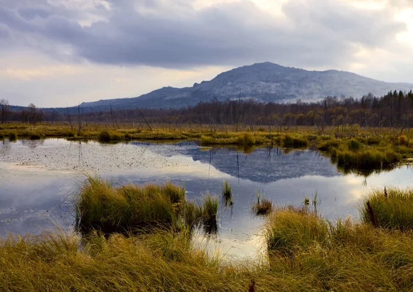 Marsh ve dağ — Stok fotoğraf