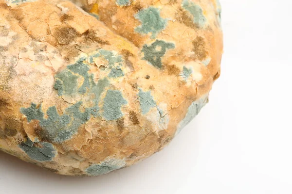 Mould growing on old bread — Stock Photo, Image