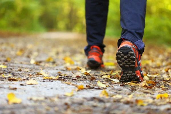 Man wandelpad veldlopen in herfst bos — Stockfoto