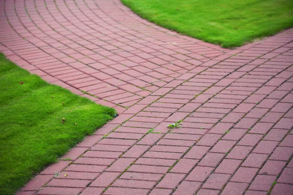 Caminho de pedra de jardim com grama, calçada de tijolo — Fotografia de Stock