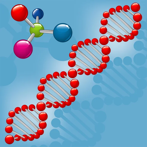 stock vector Molecule DNA