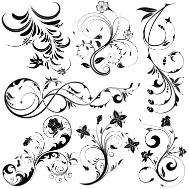 Collect Floral element clipart