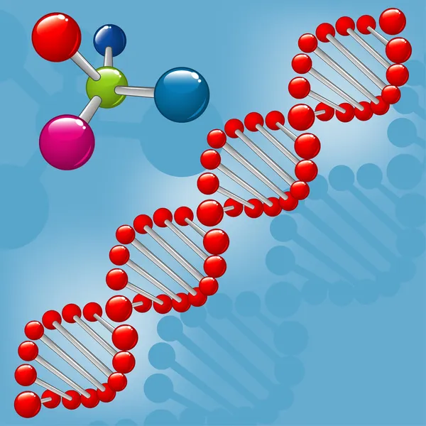 ADN da molécula —  Vetores de Stock
