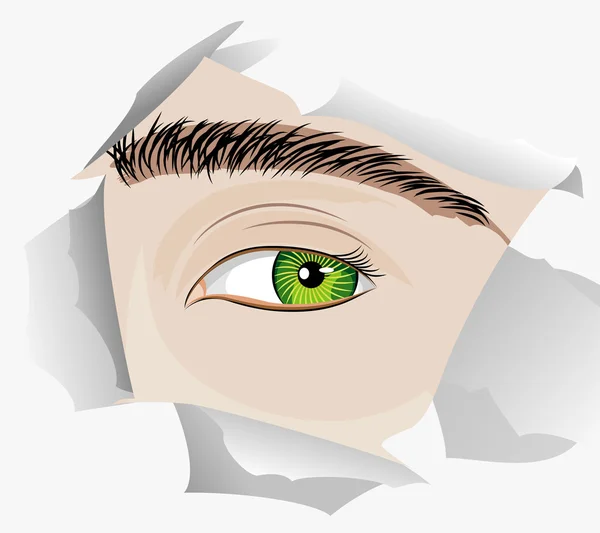 Auge in Auge — Stockvektor