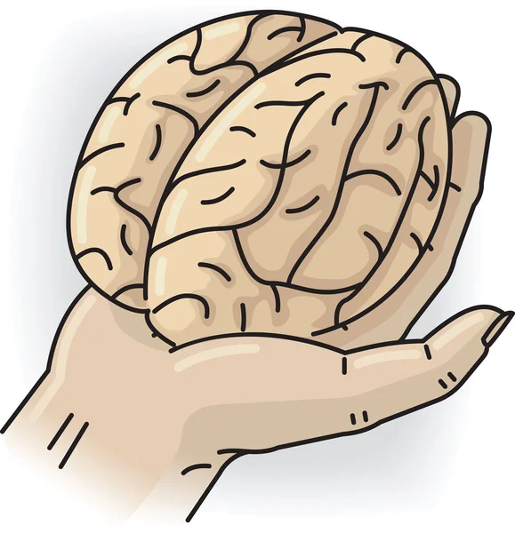 Mão com cérebro —  Vetores de Stock