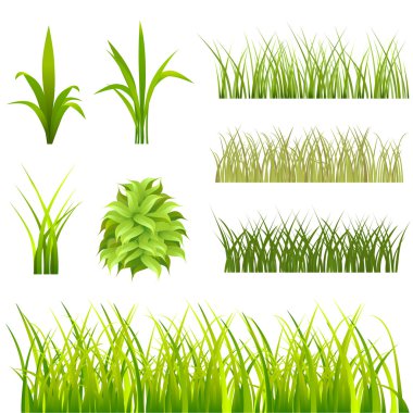 Grass background clipart