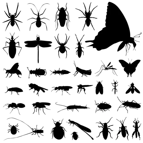 Silhouette di insetti — Vettoriale Stock