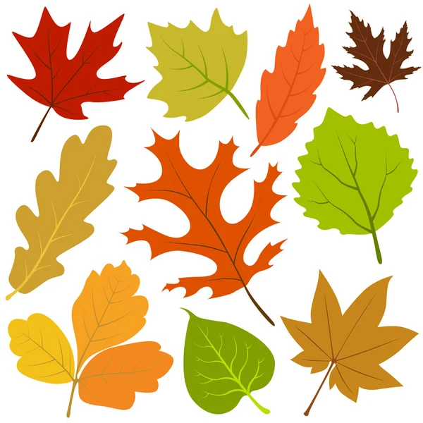Осіннє листя — стоковий вектор