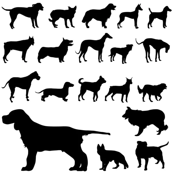 Set of dog — Stock Vector