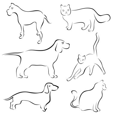 köpek ve kedi tasarımları