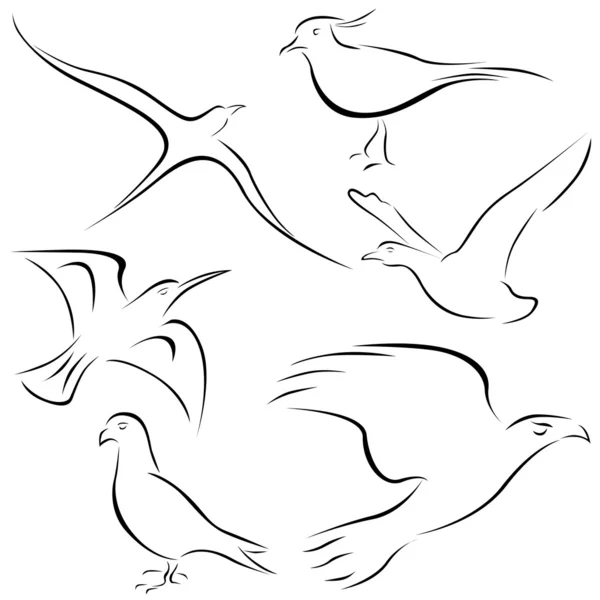 Bird designs — Stock Vector