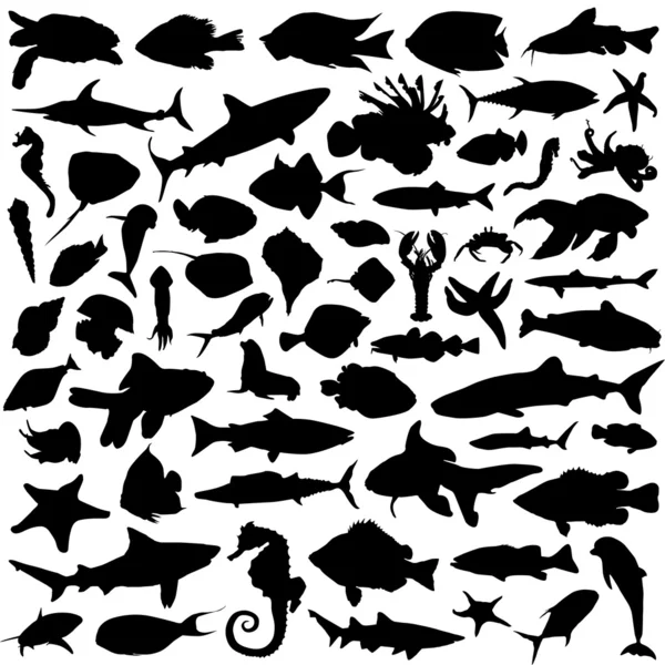 Silueta de animales marinos — Vector de stock