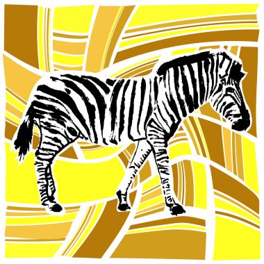 Zebra design vector clipart