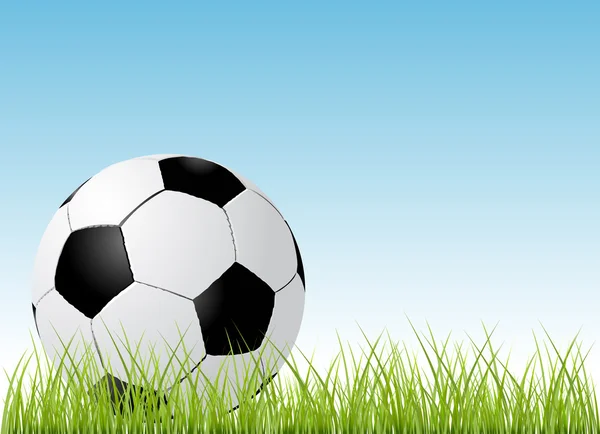 Soccer ball and grass — Stock Vector