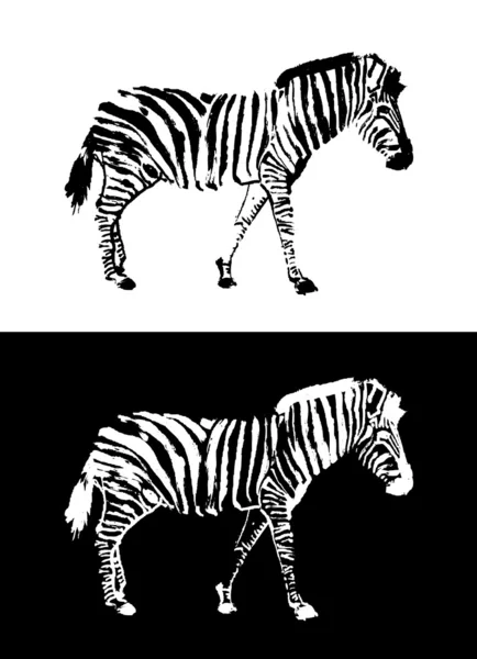 Design zebra —  Vetores de Stock