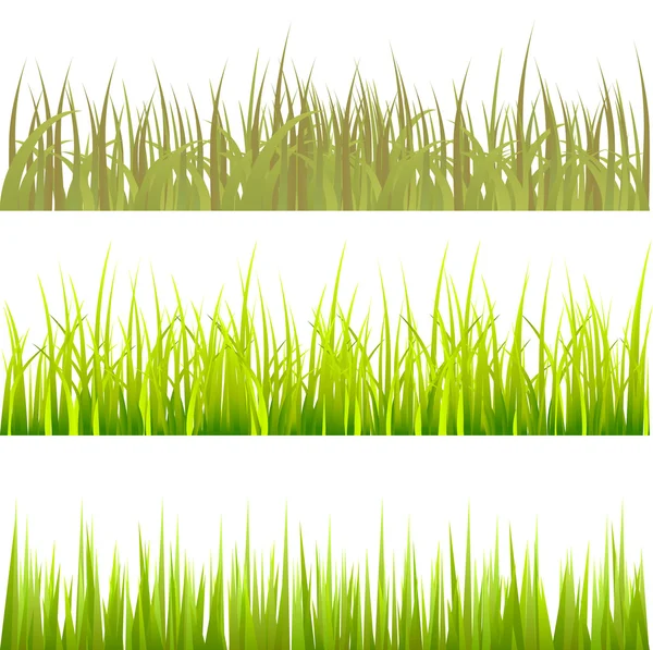 Patrón de hierba — Vector de stock