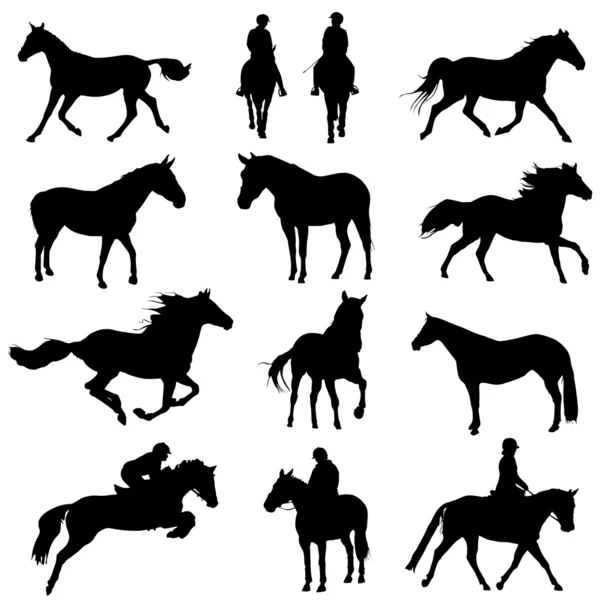 Juego de caballos — Archivo Imágenes Vectoriales