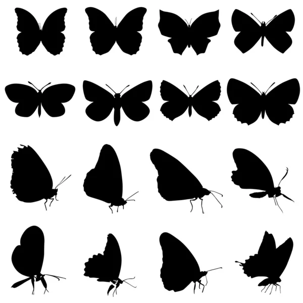 蝶セット — ストックベクタ