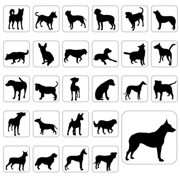 Gran juego de perros — Archivo Imágenes Vectoriales