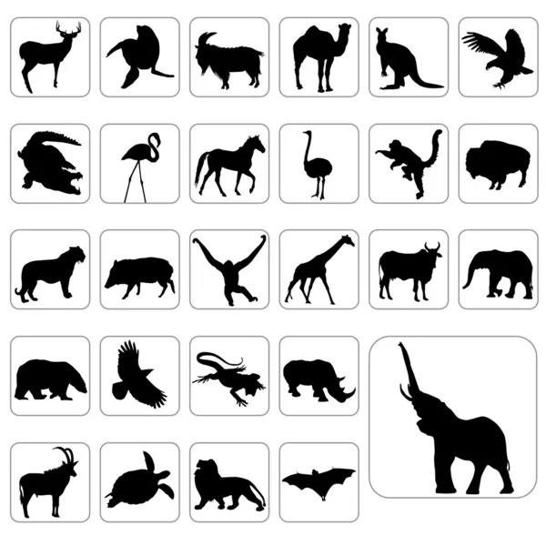 Grand ensemble d'animaux sauvages — Image vectorielle