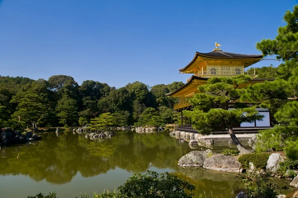Kinkaku-ji Tapınağı (altın köşk) — Stok fotoğraf