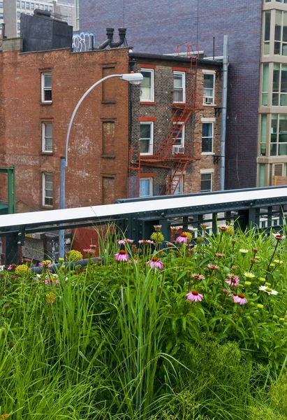 Parc High Line à New York — Photo