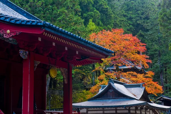 日本の秋 — ストック写真