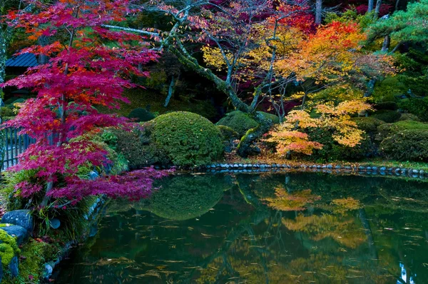 Japanese Autumn — Stock Photo, Image