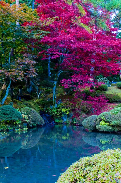 Japanese Autumn — Stock Photo, Image