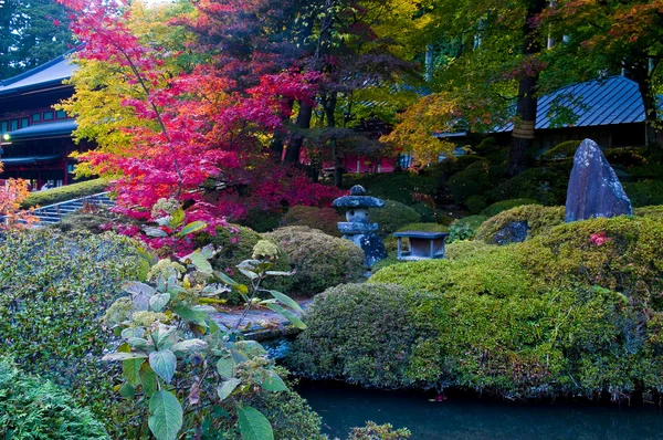 Японський осінь — стокове фото