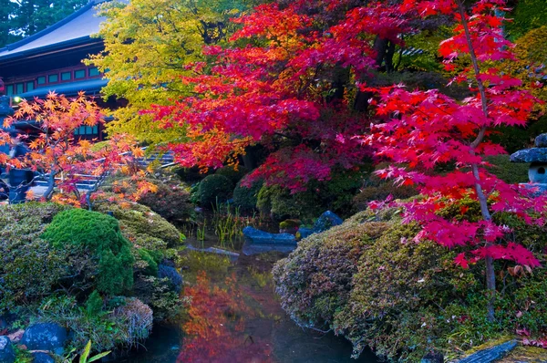 日本秋季 — 图库照片