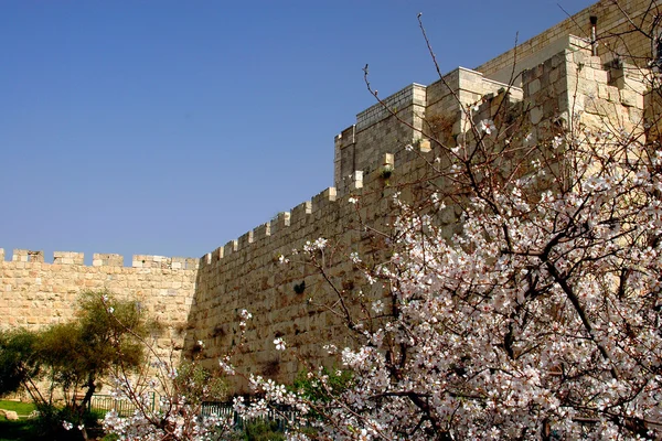 Primavera en Jerusalén — Foto de Stock