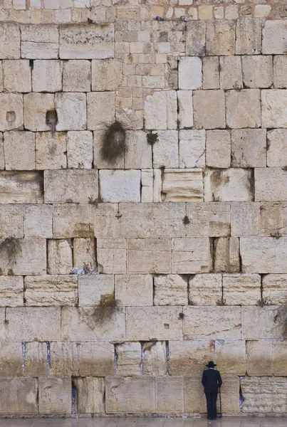 stock image The Western wall
