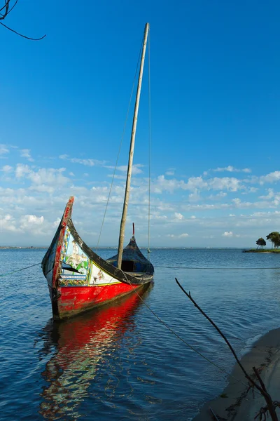 Moliceiro Boat — Stock Photo, Image