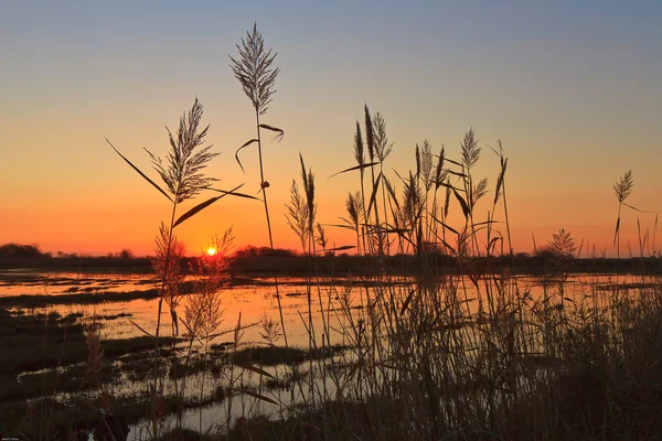 Sunset on the Lagoon — Stock Photo, Image