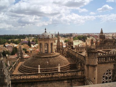 Sevilla cathedral clipart
