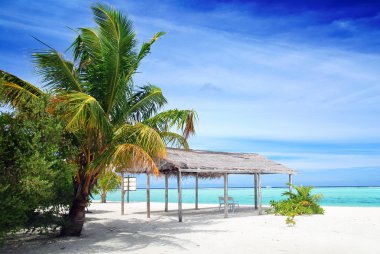 Beach in Maldives clipart