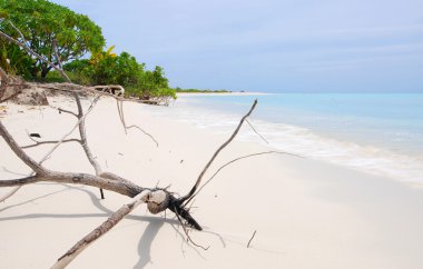 Maldivlere beach