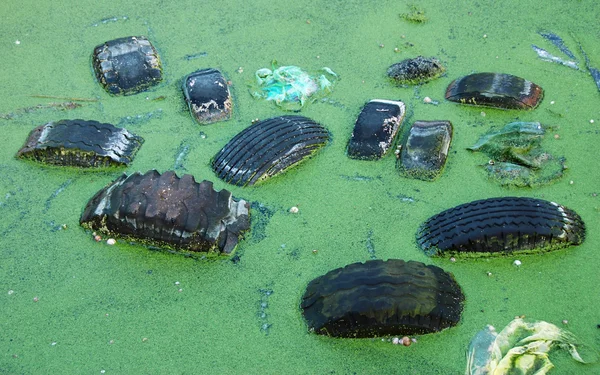 Poluição na lagoa — Fotografia de Stock