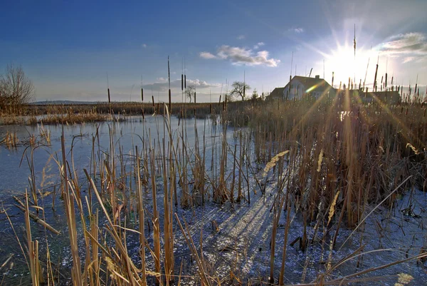 Романтический пейзаж замёрзшего озера — стоковое фото